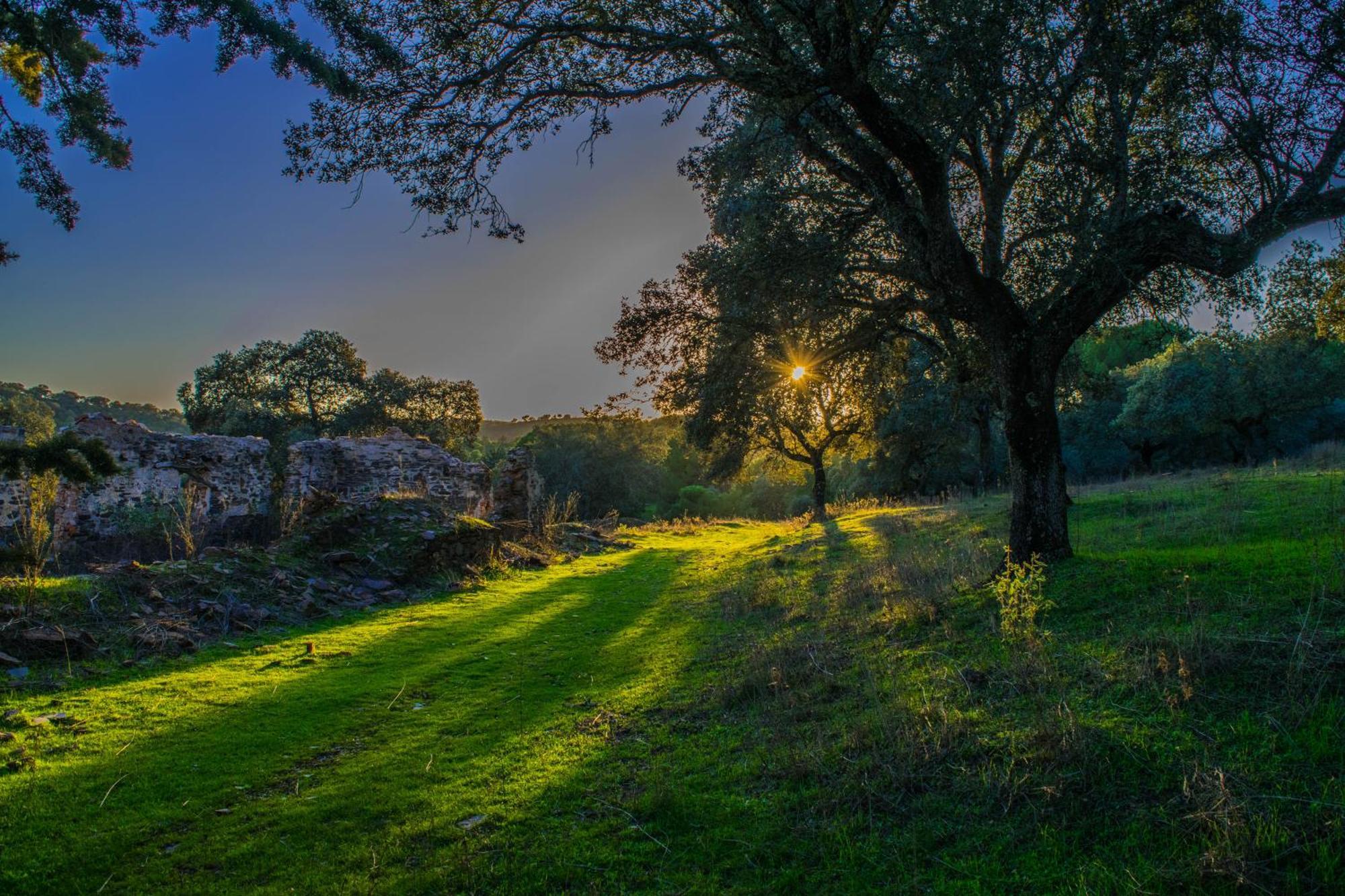 Villamaria, Alma De Despenaperros Miranda del Rey Luaran gambar