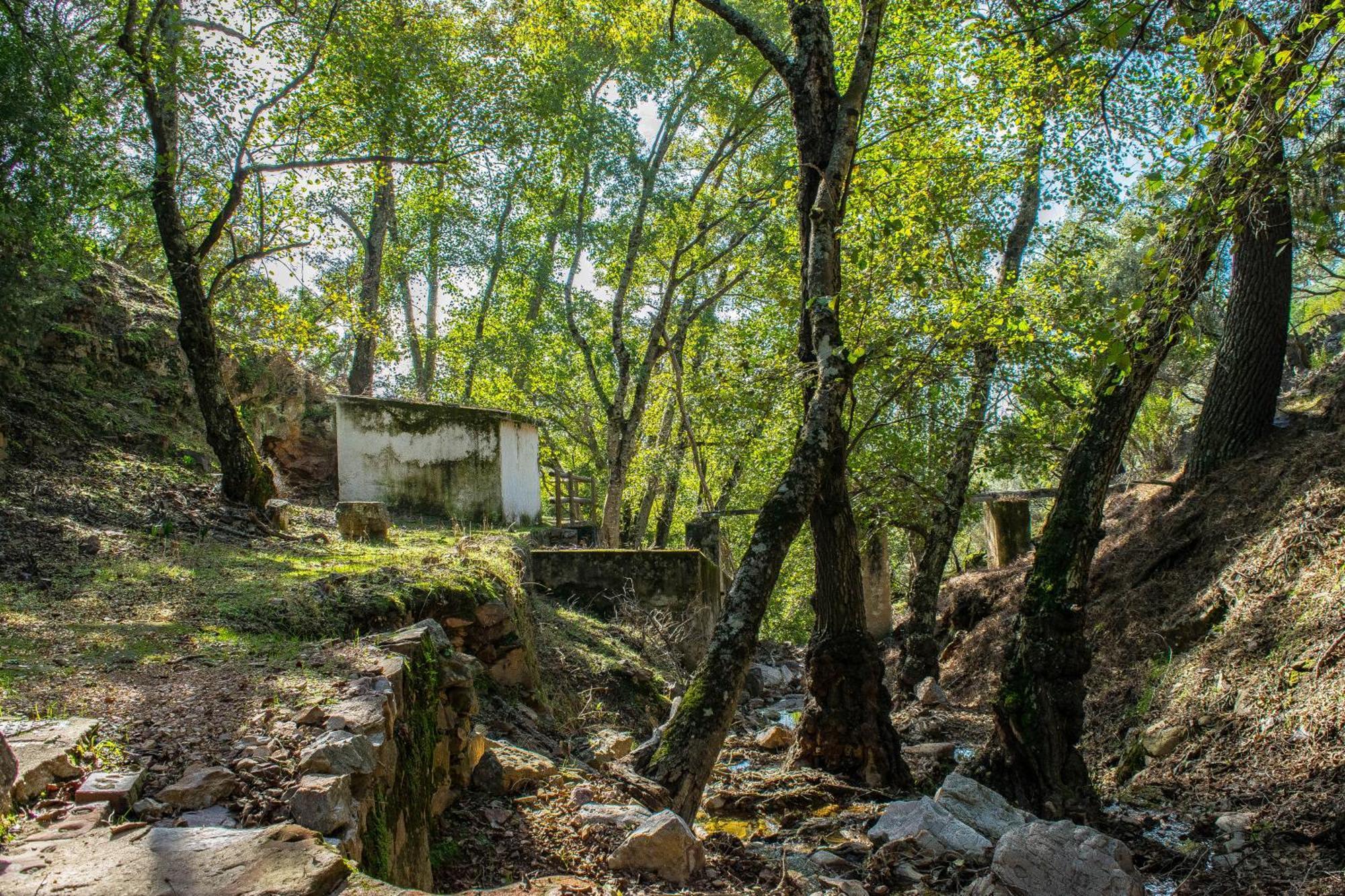 Villamaria, Alma De Despenaperros Miranda del Rey Luaran gambar
