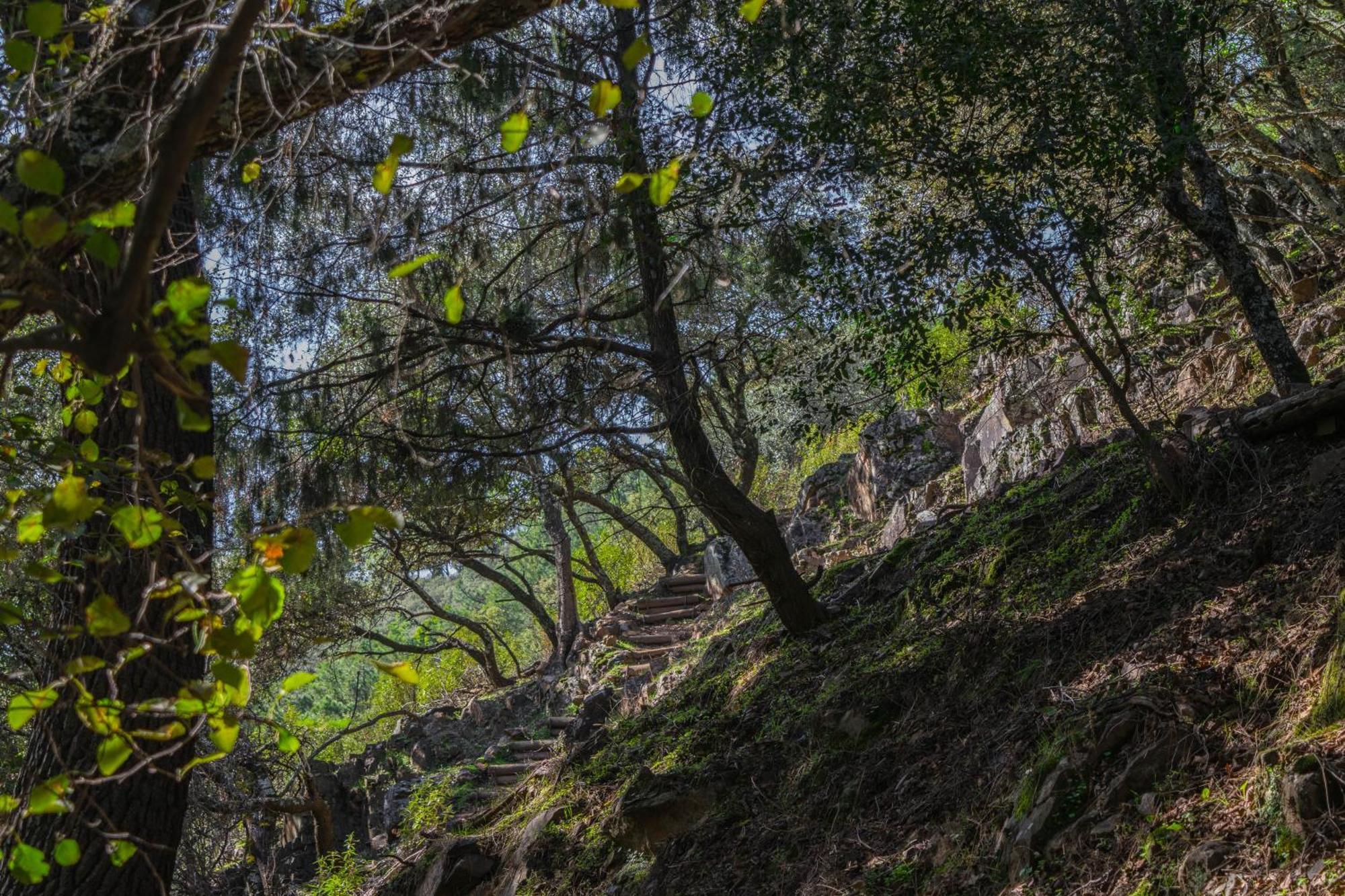 Villamaria, Alma De Despenaperros Miranda del Rey Luaran gambar
