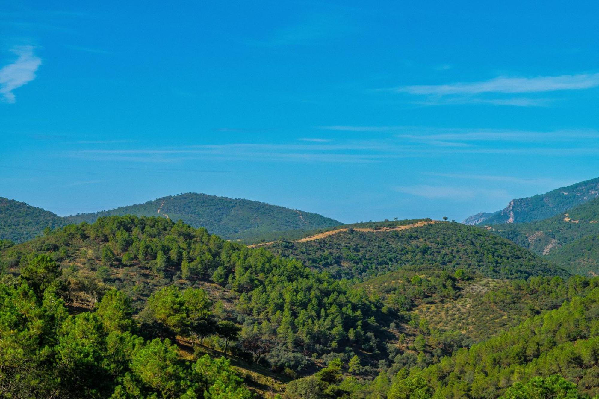 Villamaria, Alma De Despenaperros Miranda del Rey Luaran gambar